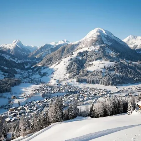 Lejlighed In Kirchberg Near Lift *