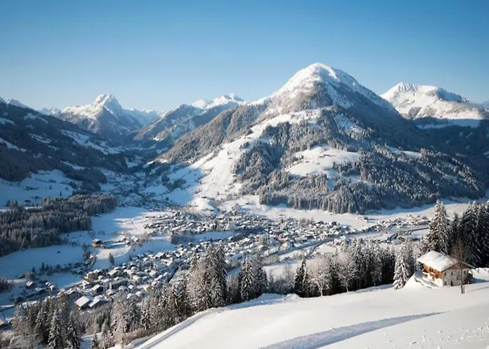 Apartment In Kirchberg Near Lift *